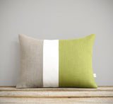 Linden Green Colorblock Pillow Cover