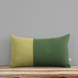 Monochromatic Colorblock Pillow - Green