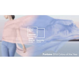 Rose Quartz Colorblock Pillow - 2016 Pantone Color of the Year